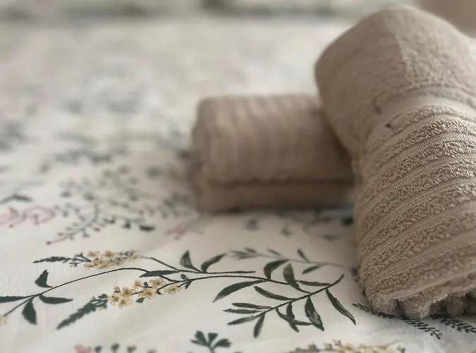 公寓 Adriva Apartamento-loft Imperial Centro Wifi 巴利亚多利德